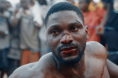 https://rollcallafrica.com/on-becoming-guinea-fowl-nyoni-review/