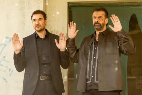 7Dogs Egyptian box office