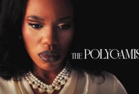 The Polygamist Netflix views